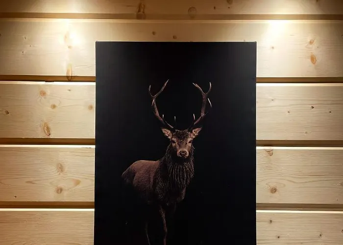 شاليه Osada Podrazowka زاكوباني